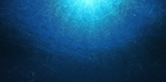 Research: Study shows how hydrothermal vents fuel massive phytoplankton blooms — and possible hotspots for carbon storage —