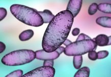 Research: Details of first historically recorded plague pandemic revealed by ancient genomes —