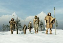 Research: DNA from 31,000-year-old milk teeth leads to discovery of new group of ancient Siberians —