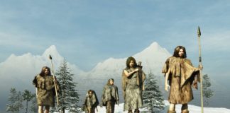 Research: DNA from 31,000-year-old milk teeth leads to discovery of new group of ancient Siberians —