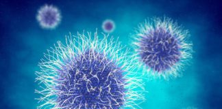 Study: Findings could represent new drug targets for human pathogens — (Details)