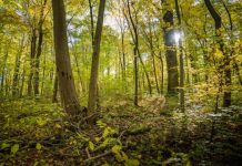 Research: Research team reveals strengths and shortcomings of different concepts —