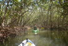 Research: Two hours a week is key dose of nature for health and wellbeing —