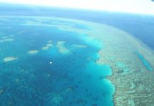 Research: New insight from Great Barrier Reef coral provides correction factor to climate records —