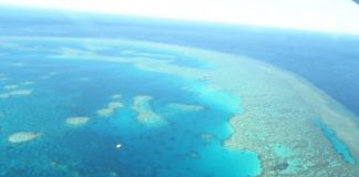 Research: New insight from Great Barrier Reef coral provides correction factor to climate records —