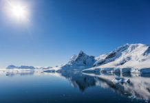 Research: Antarctic marine life recovery following the dinosaurs’ extinction —