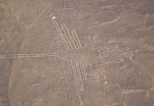 Research: Using a taxonomic approach, scientists have re-identified the huge birds drawn on the desert plains of Peru as hermits or pelicans —