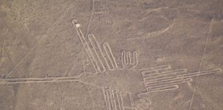 Research: Using a taxonomic approach, scientists have re-identified the huge birds drawn on the desert plains of Peru as hermits or pelicans —