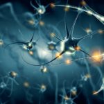 Study: Processed foods and effect on developing fetus’ brain: Autism link? — (Details)