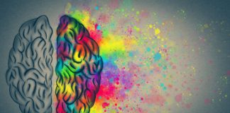 Research: ‘Mystical’ psychedelic compound found in normal brains of rats —