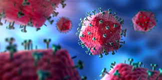 Research: HIV eliminated from the genomes of living animals —