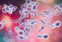 Research: C. difficile resists hospital disinfectant, persists on hospital gowns, stainless steel —