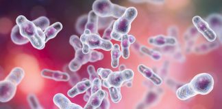 Research: C. difficile resists hospital disinfectant, persists on hospital gowns, stainless steel —