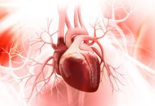 Research: Fundamental scientific discovery could lead to new ways to repair damaged hearts —