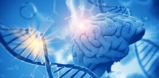 Research: Advance, made possible by tiny photonic implants, could lead to new treatments for cancer, mental disorders —