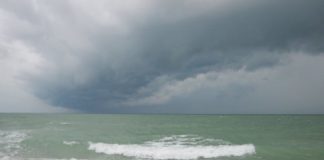 Research: Research corrects decades of data and suggests that ocean warming occurred in a much more homogenous way —