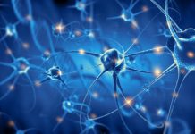 Research: Scientists stimulate neurons to induce particular perceptions in mice’s minds —