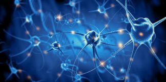 Research: Scientists stimulate neurons to induce particular perceptions in mice’s minds —