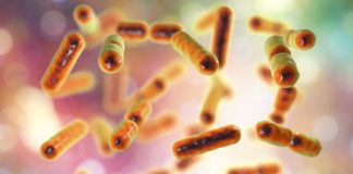 Research: Researchers isolated a molecule that may be under-produced in the guts of patients —