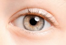 Research: Study provides much-needed objective measures for predicting neurodevelopmental disorders —