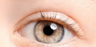 Research: Study provides much-needed objective measures for predicting neurodevelopmental disorders —