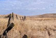 Research: Study picks apart factors that caused severe, long-lasting droughts and suggests increased risk for future —