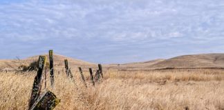 Research: Study picks apart factors that caused severe, long-lasting droughts and suggests increased risk for future —