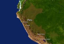 Research: 18-million-year-old creature discovered in Peru was no bigger than a hamster; helps fill a gap in the record of monkey evolution —