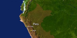 Research: 18-million-year-old creature discovered in Peru was no bigger than a hamster; helps fill a gap in the record of monkey evolution —