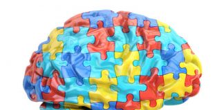 Study: High levels of estrogen in the womb linked to autism — (Details)