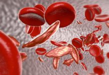 Research: Targeting a blood stem cell subset shows lasting, therapeutically relevant gene editing —