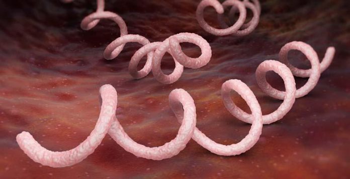 Report: syphilis notifications up by 70% since 2010
