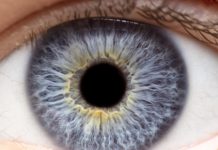 Research: Blinking eye-on-a-chip used for disease modeling and drug testing —