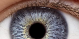 Research: Blinking eye-on-a-chip used for disease modeling and drug testing —