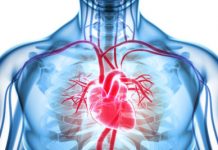 Research: Bioengineers’ filter-paper models hint at how valves calcify —