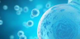 Research: First cells may have emerged because building blocks of proteins stabilized membranes —