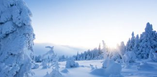 Research: In the Alps and the Arctic, experts confirm the presence of plastic in snow —