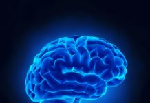 Research: How a visual test can help screen for autism —