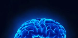 Research: How a visual test can help screen for autism —