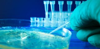 Research: Discovery opens door to preventing the foodborne illness —