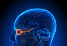 Research: Optic nerve stimulation to aid the blind —