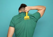 Research: Set of neurons in spinal cord help transmit a light-touch signal from skin to brain —