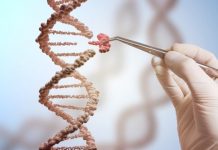 Research: Scientists develop a new gene-editing tool that could help treat many disorders caused by gene mutations —