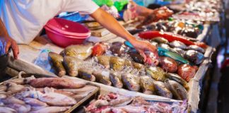 Offbeat: Researchers find 95 percent of fish species in the deep ocean would go unprotected under the wording of a proposed UN treaty —