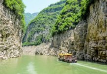 Research: Fossils dating back 550 million years among first animal trails —