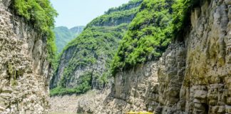 Research: Fossils dating back 550 million years among first animal trails —