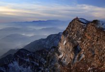 Research: New analysis brings total of species extinctions to six —