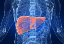 Research: Research project develops new method to preserve human livers for transplantation —