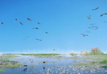 Research: New flying reptile species was one of largest ever flying animals —