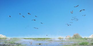 Research: New flying reptile species was one of largest ever flying animals —